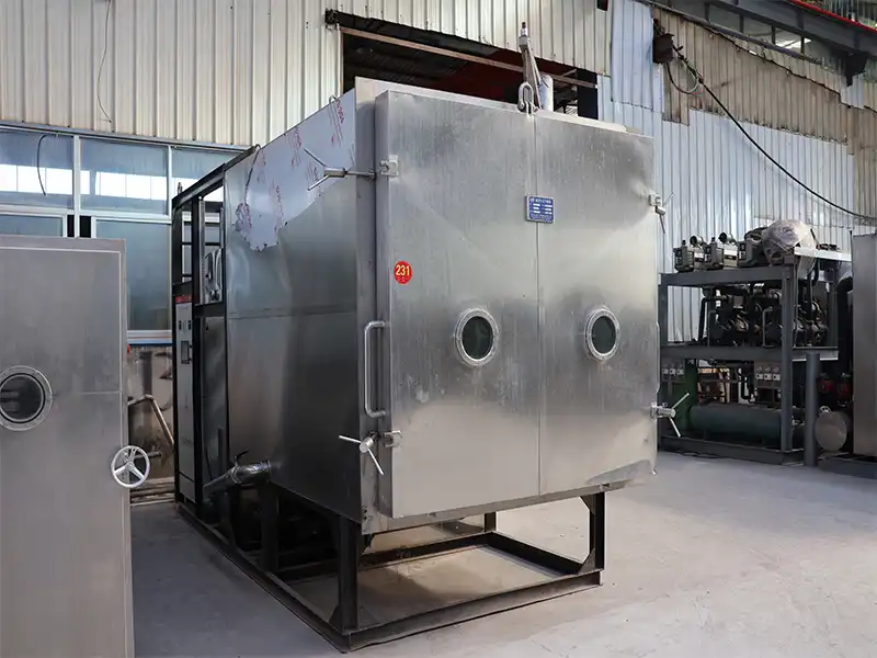 Vacuum freeze dryer for sale.webp